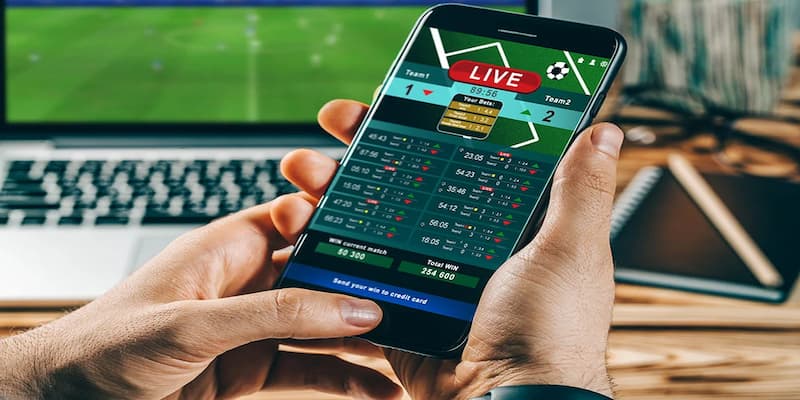 Bongvip - Nền Tảng Giải Trí Trực Tuyến Hàng Đầu 2025